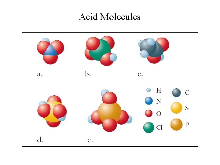 Acid Molecules 