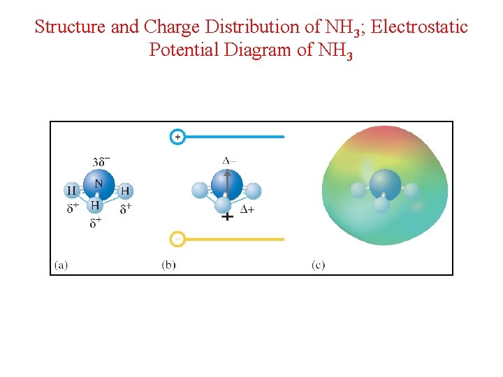 Structure and Charge Distribution of NH 3; Electrostatic Potential Diagram of NH 3 