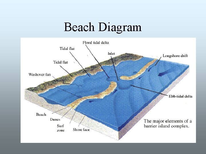Beach Diagram 