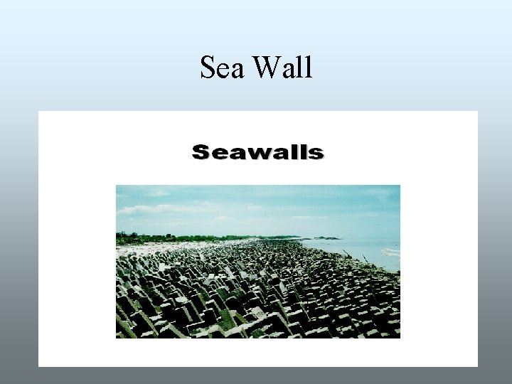 Sea Wall 