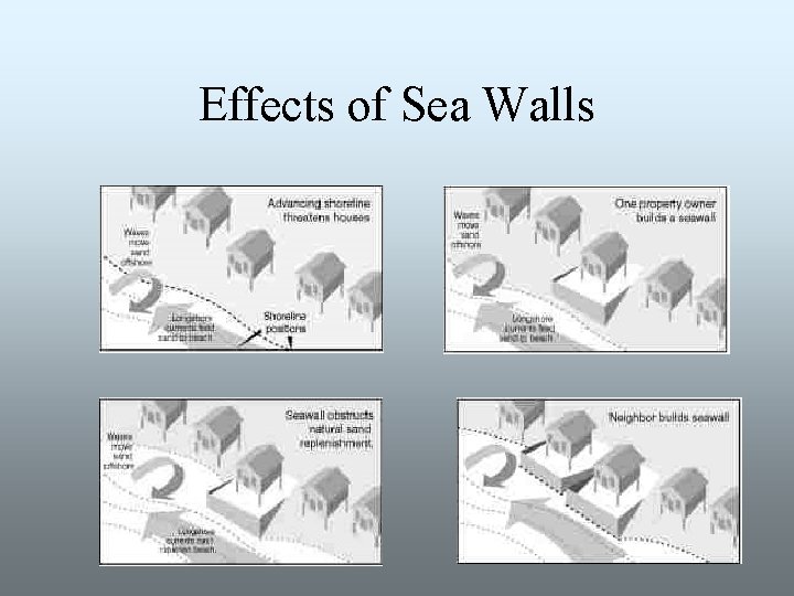 Effects of Sea Walls 