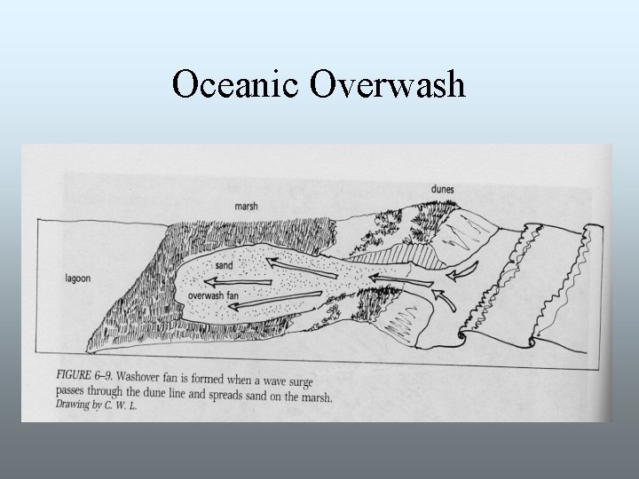 Oceanic Overwash 