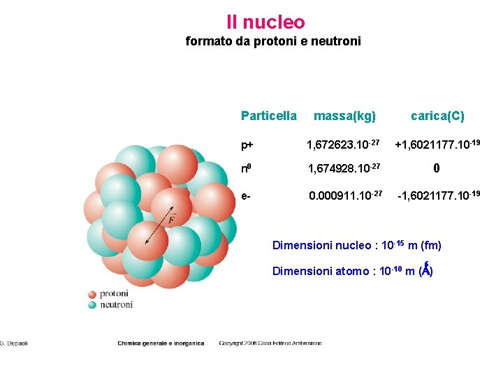 Il nucleo formato da protoni e neutroni Particella massa(kg) carica(C) p+ 1, 672623. 10