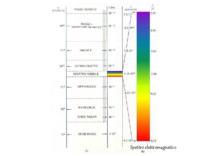 Spettro elettromagnetico 