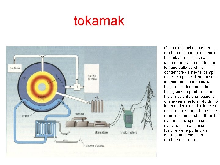 tokamak Questo è lo schema di un reattore nucleare a fusione di tipo tokamak.