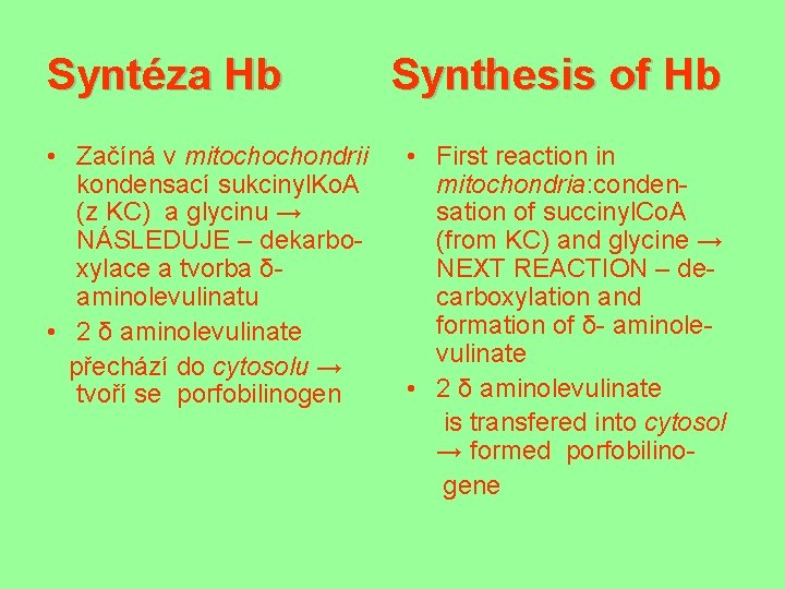 Syntéza Hb • Začíná v mitochochondrii kondensací sukcinyl. Ko. A (z KC) a glycinu