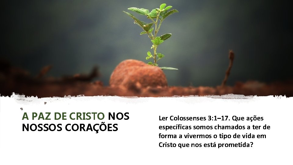 A PAZ DE CRISTO NOSSOS CORAÇÕES Ler Colossenses 3: 1– 17. Que ações específicas