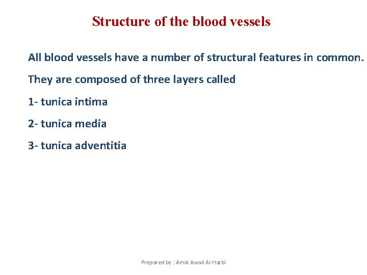 Structure of the blood vessels All blood vessels have a number of structural features