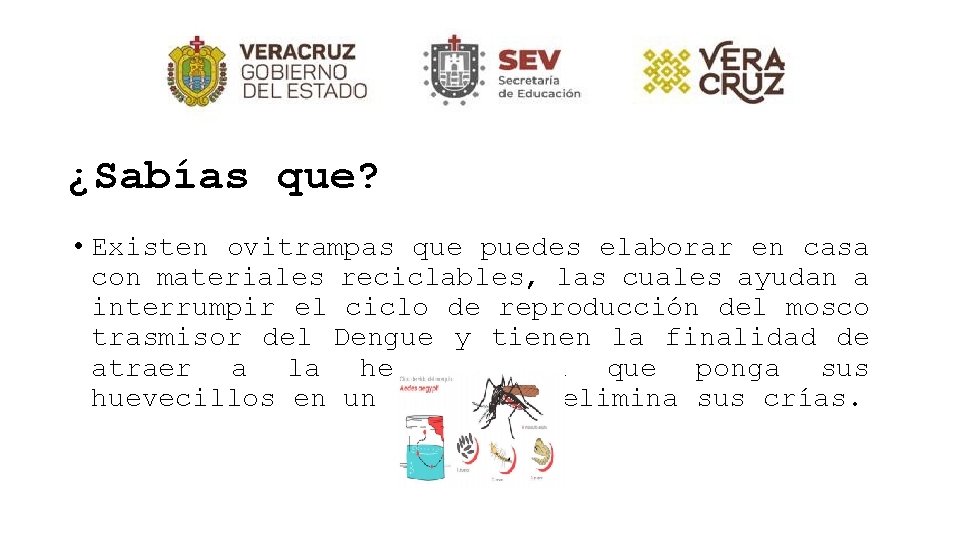 ¿Sabías que? • Existen ovitrampas que puedes elaborar en casa con materiales reciclables, las