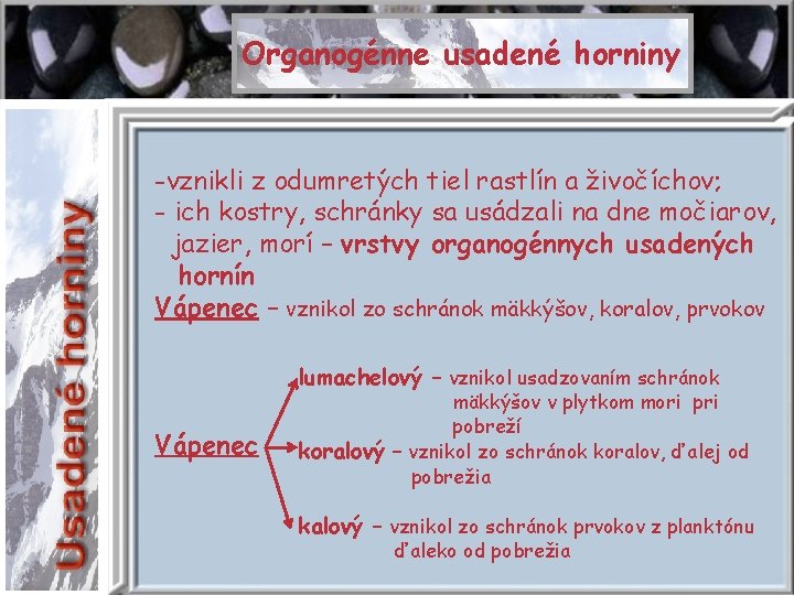 Organogénne usadené horniny -vznikli z odumretých tiel rastlín a živočíchov; - ich kostry, schránky