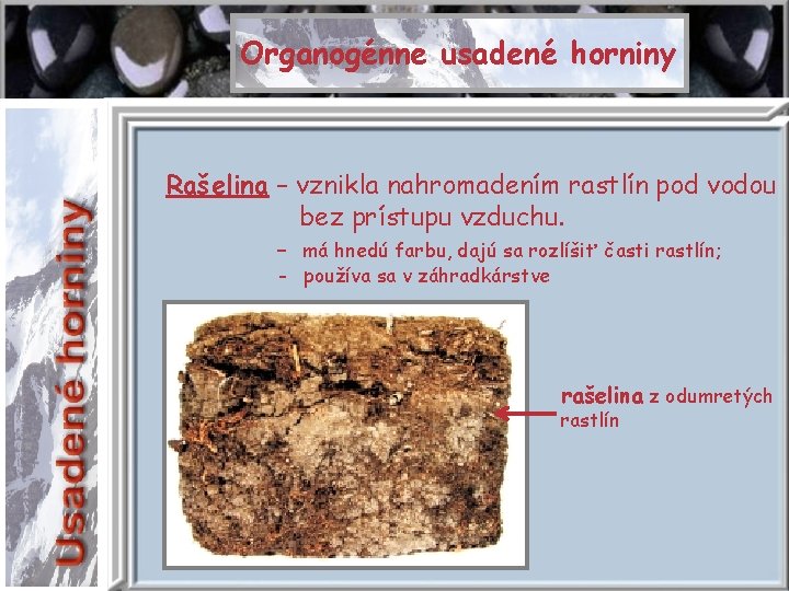 Organogénne usadené horniny Rašelina – vznikla nahromadením rastlín pod vodou bez prístupu vzduchu. -