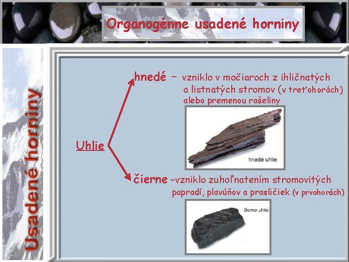 Organogénne usadené horniny hnedé – vzniklo v močiaroch z ihličnatých a listnatých stromov (v