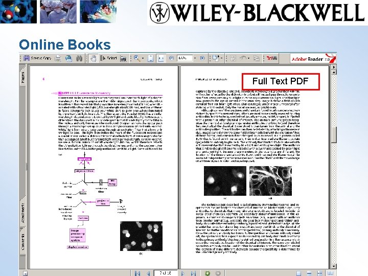 Online Books Full Text PDF www. interscience. wiley. com 