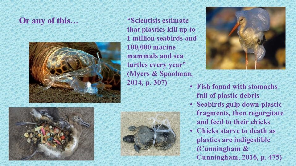 Or any of this… “Scientists estimate that plastics kill up to 1 million seabirds