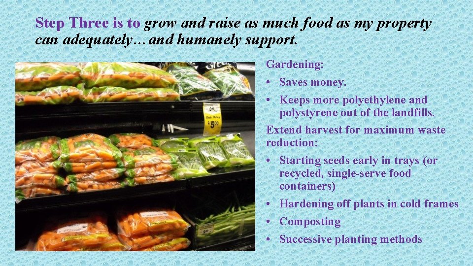 Step Three is to grow and raise as much food as my property can