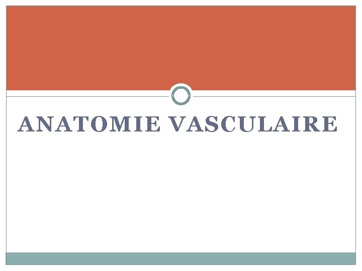 ANATOMIE VASCULAIRE 