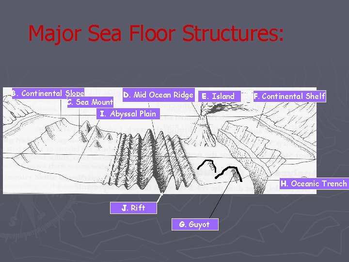 Major Sea Floor Structures: B. Continental Slope D. Mid Ocean Ridge C. Sea Mount