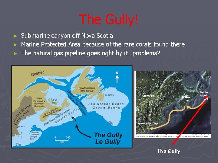 The Gully! Submarine canyon off Nova Scotia ► Marine Protected Area because of the