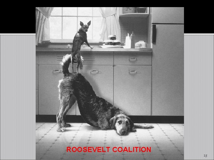 ROOSEVELT COALITION 25 