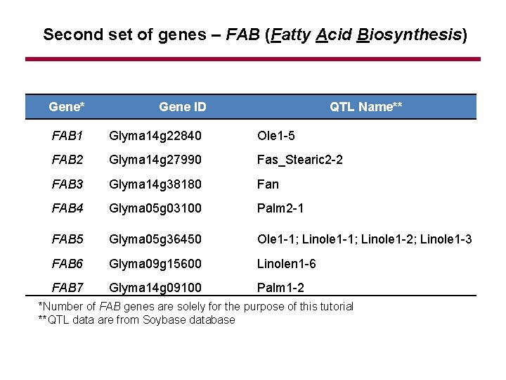 Second set of genes – FAB (Fatty Acid Biosynthesis) Gene* Gene ID QTL Name**
