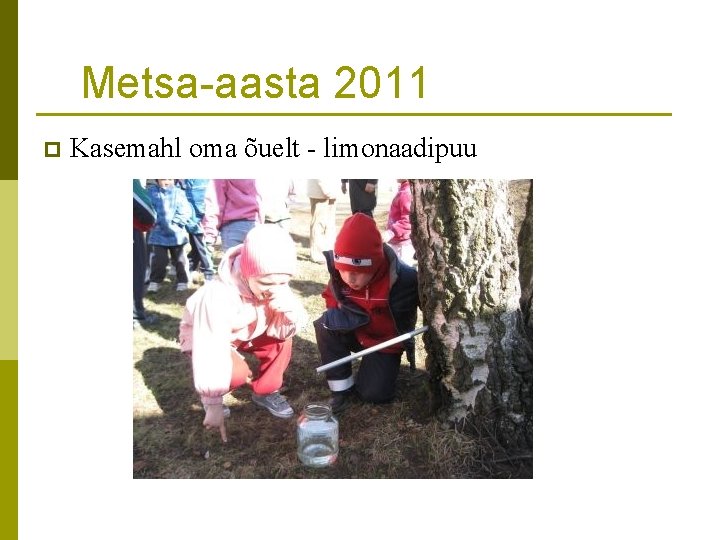 Metsa-aasta 2011 p Kasemahl oma õuelt - limonaadipuu 