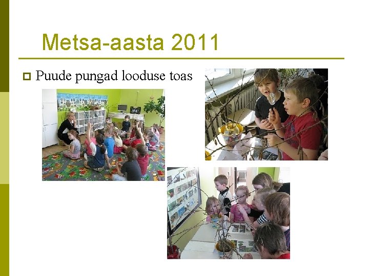 Metsa-aasta 2011 p Puude pungad looduse toas 