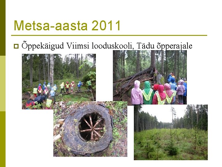 Metsa-aasta 2011 p Õppekäigud Viimsi looduskooli, Tädu õpperajale 