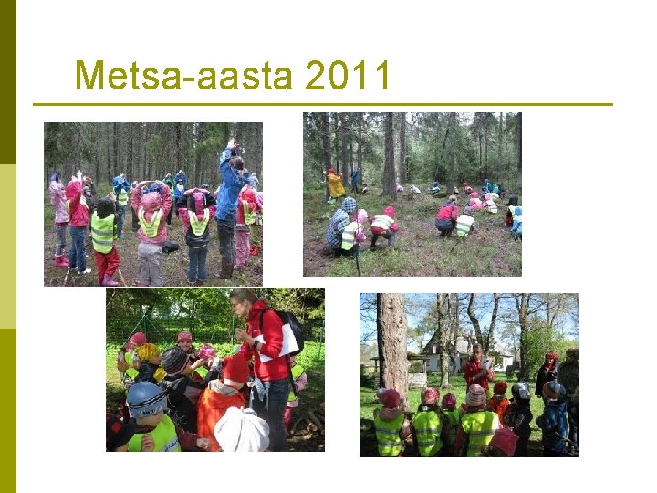 Metsa-aasta 2011 