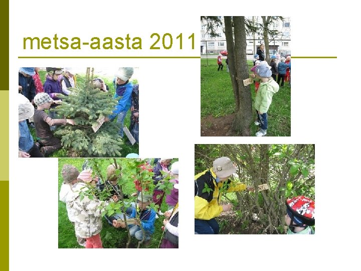 metsa-aasta 2011 