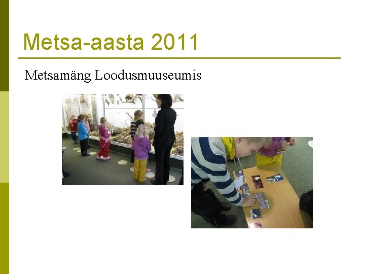 Metsa-aasta 2011 Metsamäng Loodusmuuseumis 