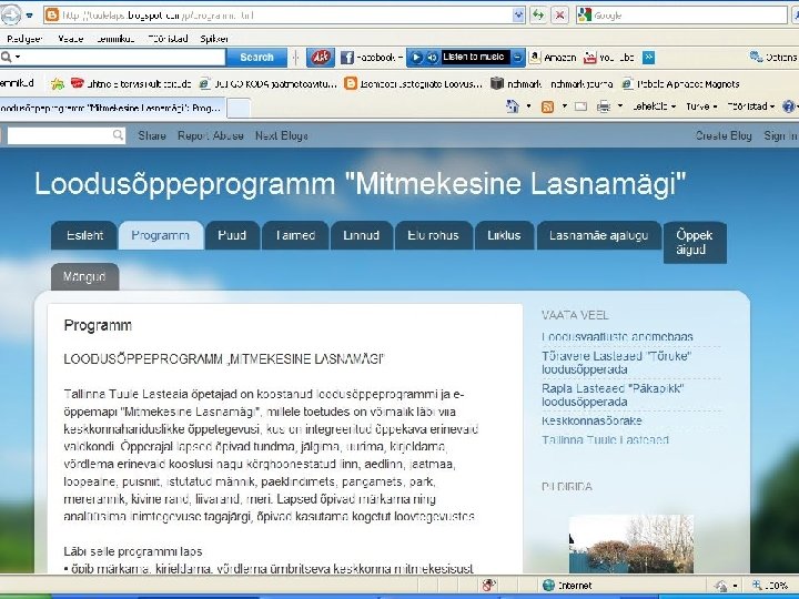 Veebiprogramm 