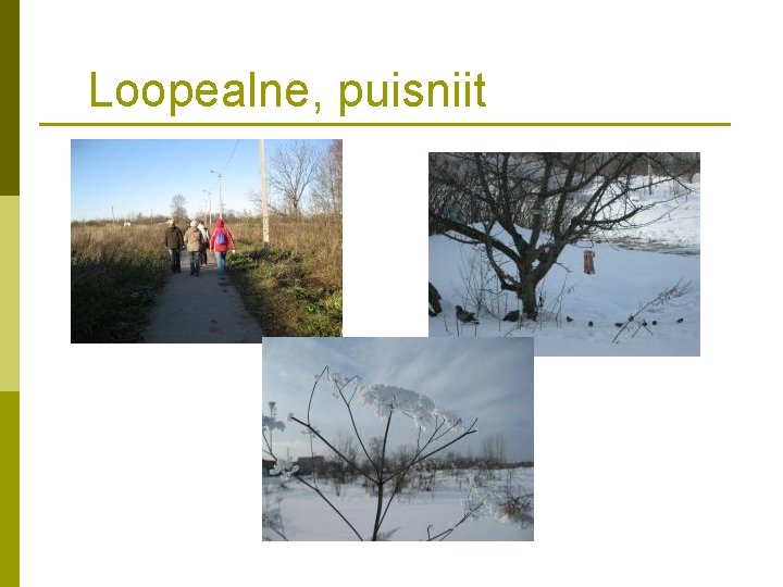 Loopealne, puisniit 