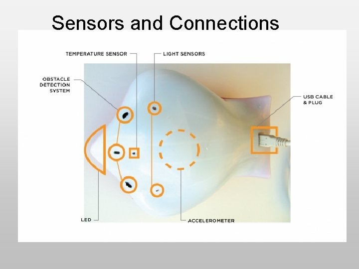 Sensors and Connections Sensors and Connections