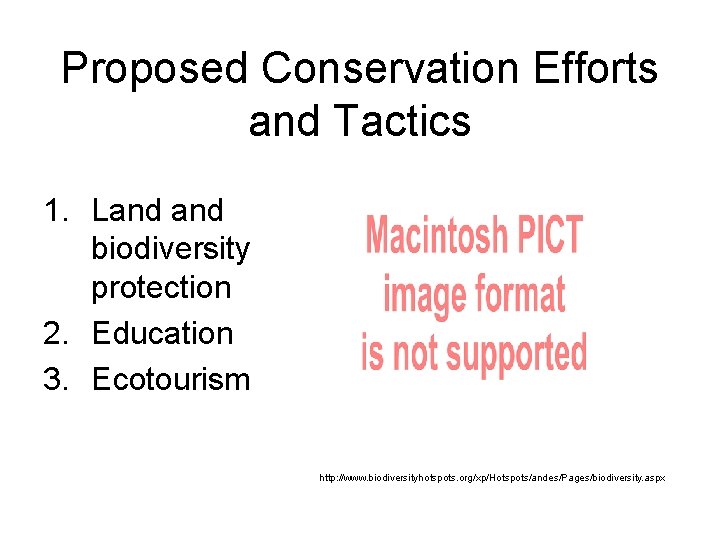 Proposed Conservation Efforts and Tactics 1. Land biodiversity protection 2. Education 3. Ecotourism http: