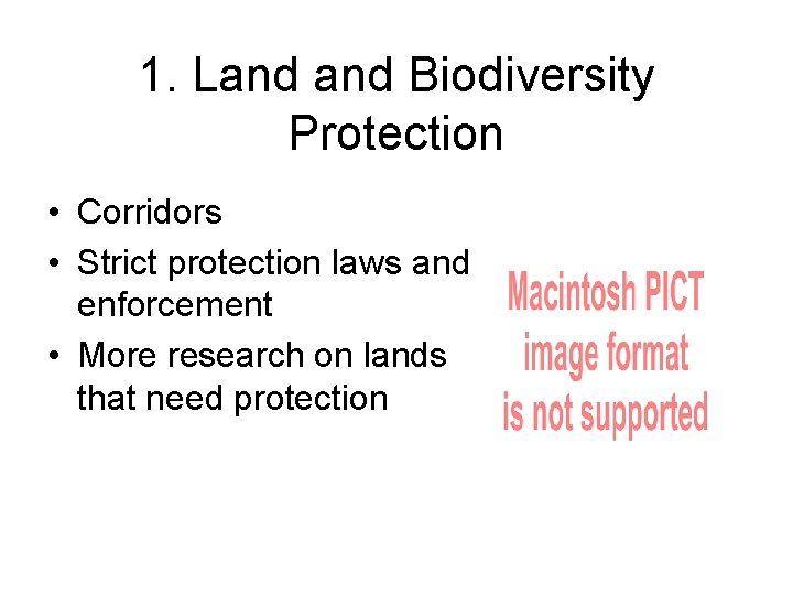 1. Land Biodiversity Protection • Corridors • Strict protection laws and enforcement • More