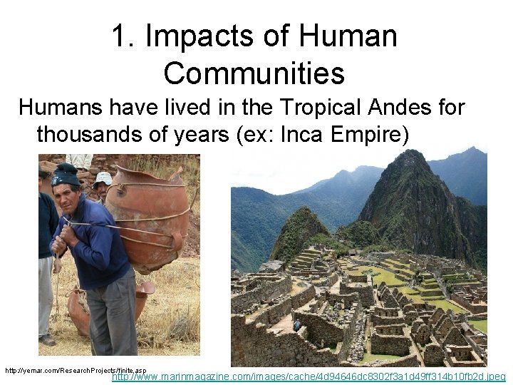1. Impacts of Human Communities Humans have lived in the Tropical Andes for thousands