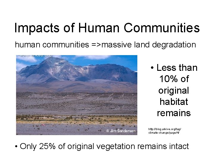 Impacts of Human Communities human communities =>massive land degradation • Less than 10% of