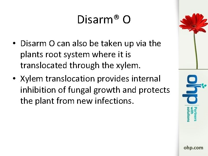 Disarm® O • Disarm O can also be taken up via the plants root