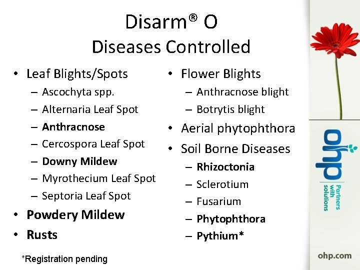 Disarm® O Diseases Controlled • Leaf Blights/Spots • Flower Blights Ascochyta spp. – Anthracnose