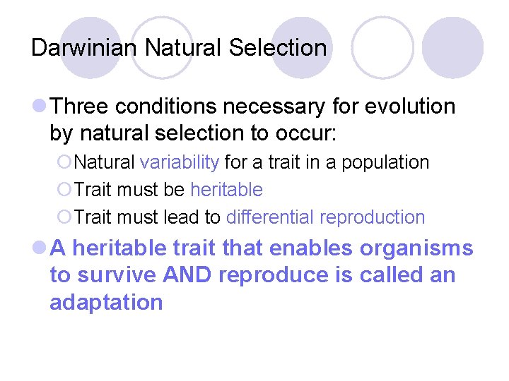 Darwinian Natural Selection l Three conditions necessary for evolution by natural selection to occur: