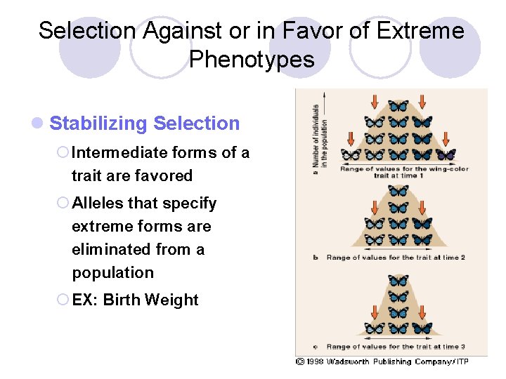 Selection Against or in Favor of Extreme Phenotypes l Stabilizing Selection ¡ Intermediate forms