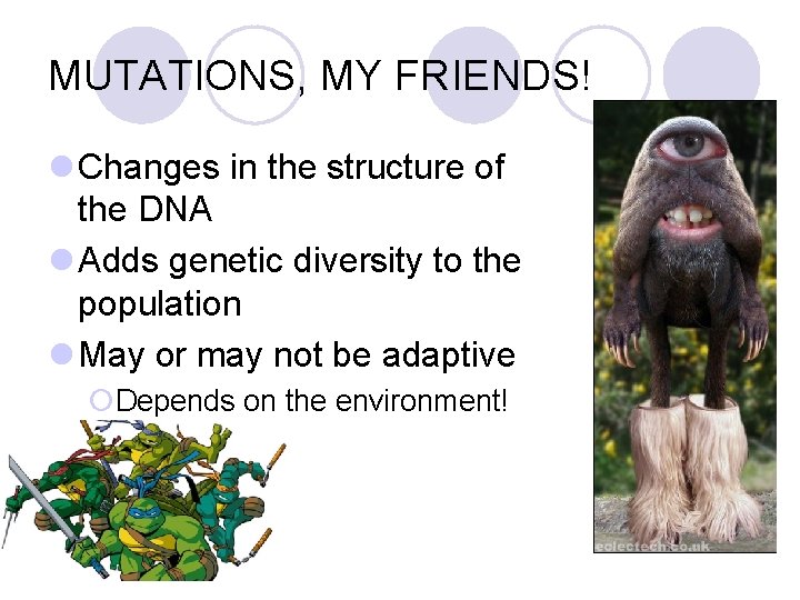 MUTATIONS, MY FRIENDS! l Changes in the structure of the DNA l Adds genetic