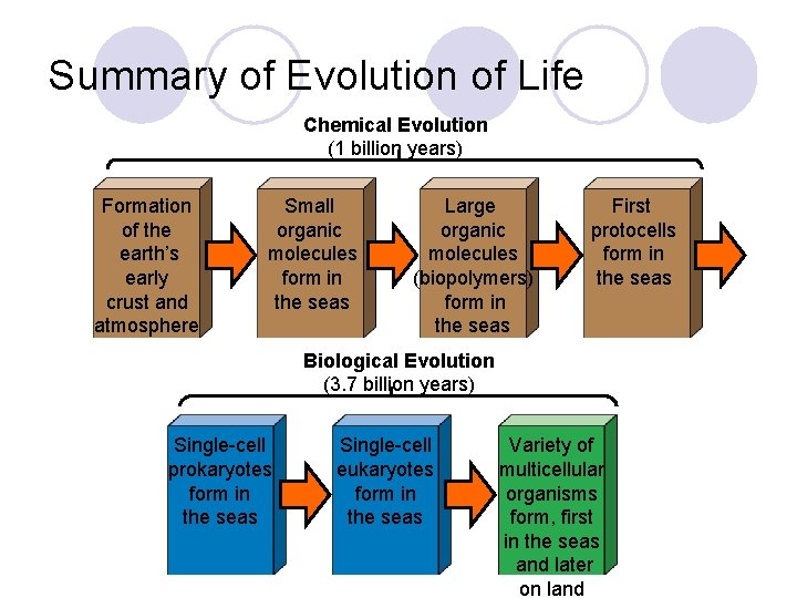Summary of Evolution of Life Chemical Evolution (1 billion years) Formation of the earth’s