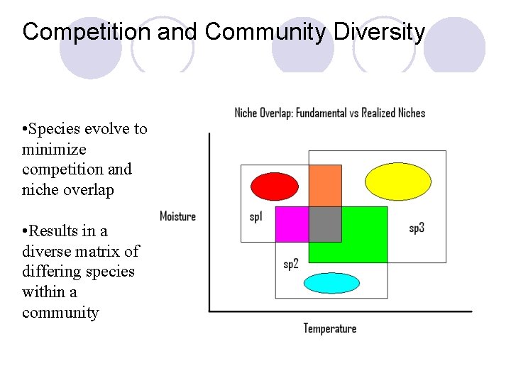 Competition and Community Diversity • Species evolve to minimize competition and niche overlap •