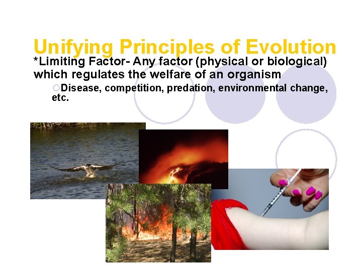 Unifying Principles of Evolution *Limiting Factor- Any factor (physical or biological) which regulates the