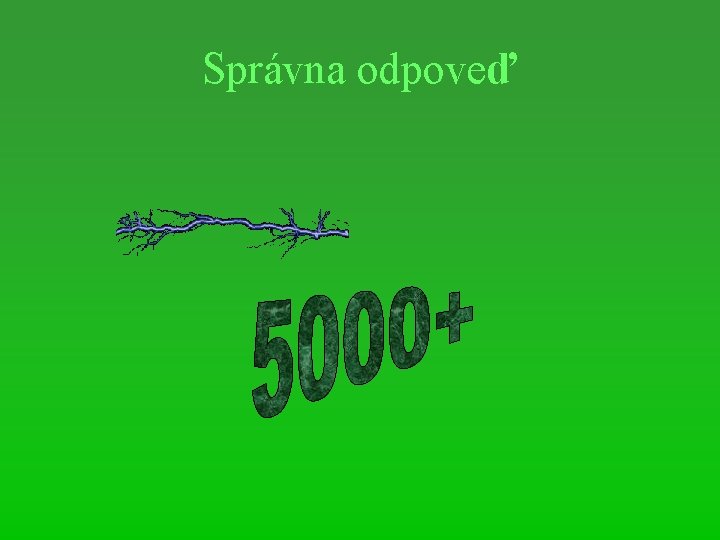 Správna odpoveď 