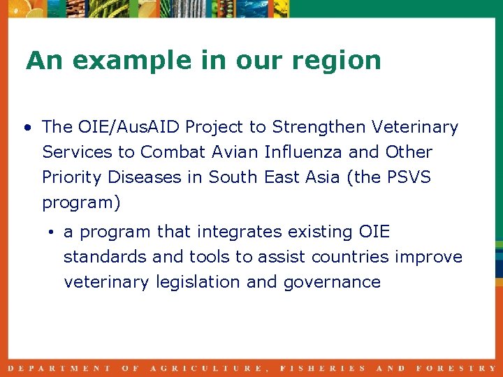 An example in our region • The OIE/Aus. AID Project to Strengthen Veterinary Services