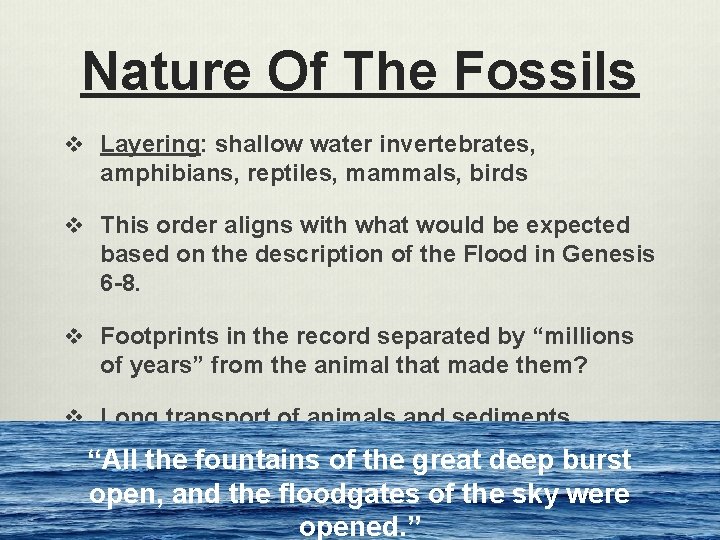 Nature Of The Fossils v Layering: shallow water invertebrates, amphibians, reptiles, mammals, birds v