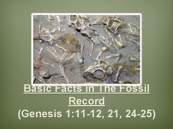 Basic Facts In The Fossil Record (Genesis 1: 11 -12, 21, 24 -25) 