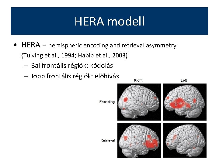 HERA modell • HERA = hemispheric encoding and retrieval asymmetry (Tulving et al. ,